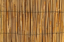 Rohož plotová rákos 100 x 500 cm